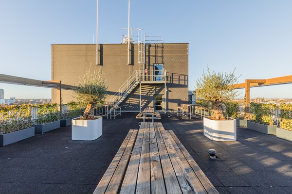 Foto - Te koop: Pastoor Petersstraat 176-62, 5612 LW Eindhoven